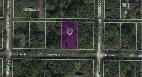 35363 Holmes St, Webster, FL 33597