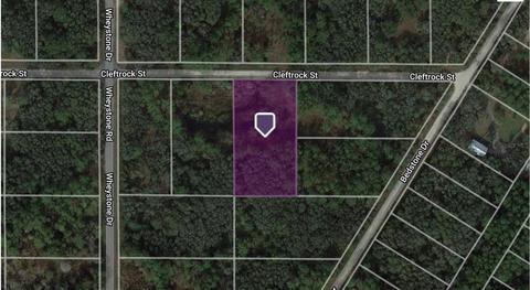 Cleft Rock Street, Webster, FL 33597