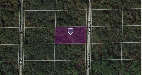 Cockleberry Drive, Webster, FL 33597