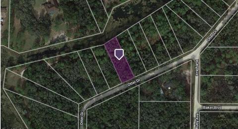 6459 Otter Dr, Webster, FL 33597
