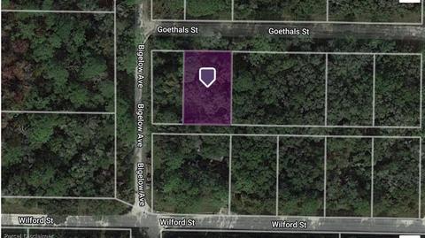 35306 Goethals St, Webster, FL 33597