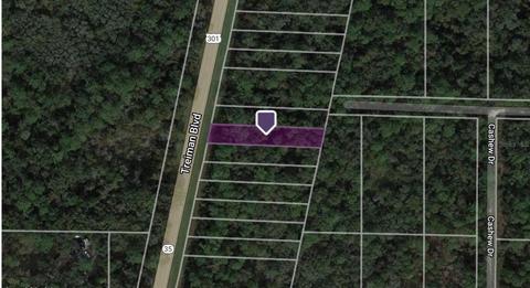 8368 Treiman Blvd, Webster, FL 33597 photo 1