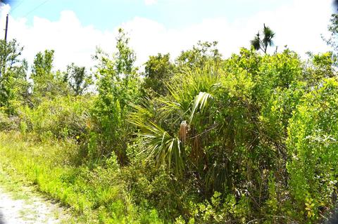 29045 Palm Shores Blvd, Punta Gorda, FL 33982