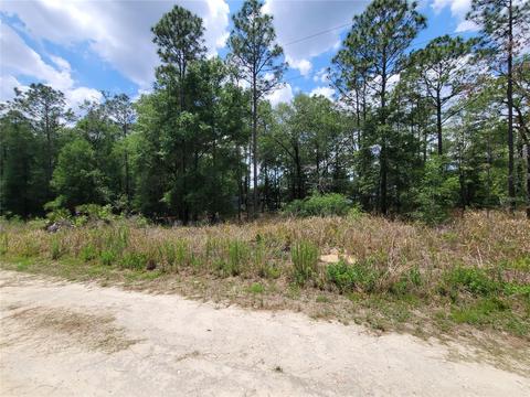 Tbd SW 159th Avenue, Ocala, FL 34481