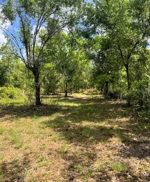 1278 NW Eucalyptus Ave, Arcadia, FL 34266