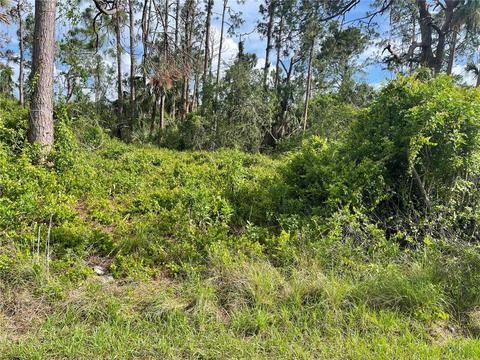 Hansard Avenue, North Port, FL 34286