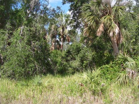 Mcallister Lane, North Port, FL 34288