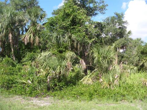 Butterfly Lane, North Port, FL 34288