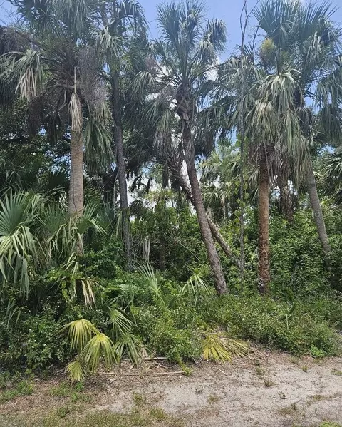 2293 Granadeer St, Port Charlotte, FL 33948