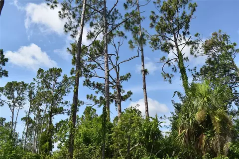 Geranium Avenue, North Port, FL 34288