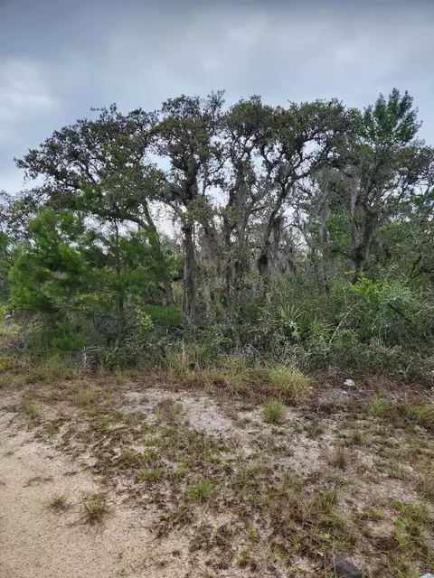 2927 W Beufort Rd, Avon Park, FL 33825