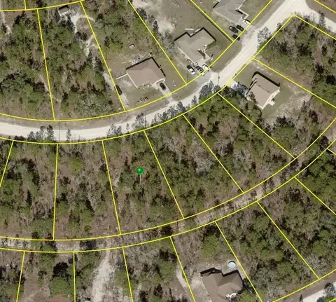 15290 Scaup Duck Ave, Weeki Wachee, FL 34614