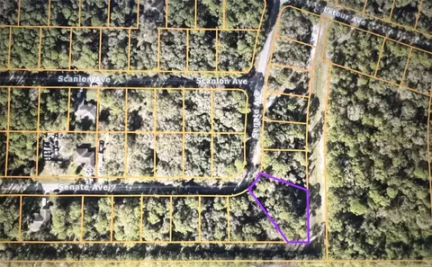 Senate Avenue, North Port, FL 34291