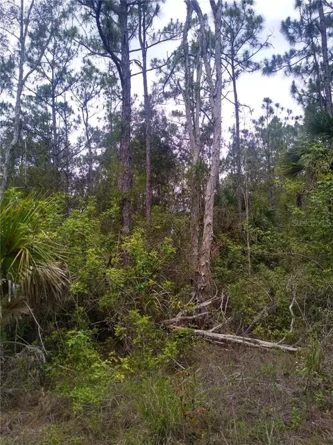 12451 Caravan Dr, Punta Gorda, FL 33955