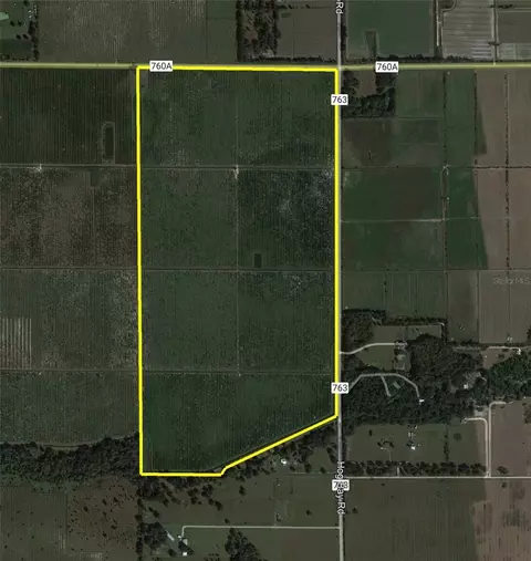 SE Co Road 763, Arcadia, FL 34266