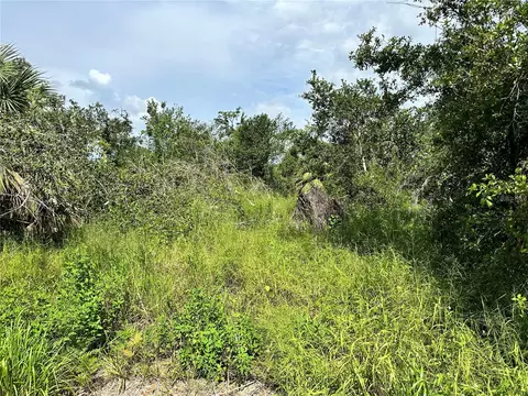 8889 SW Coulter Rd, Arcadia, FL 34269