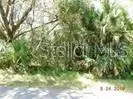 Xanthus Avenue, North Port, FL 34286