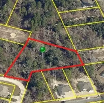 13075 Pacific Nighthawk Ave, Weeki Wachee, FL 34614