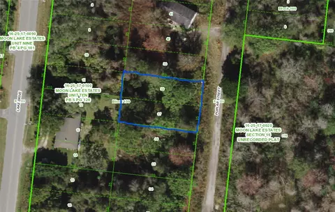 Poplar Street, New Port Richey, FL 34654