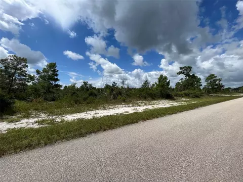 1125 Island Pkwy NE, Lake Placid, FL 33852