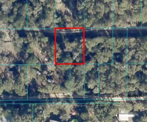 191 Ne Ln, Fort Mc Coy, FL 32134