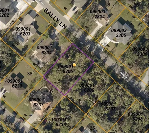 0990016205 Sally Ln, North Port, FL 34286