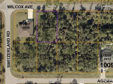 Wilcox Avenue, North Port, FL 34288