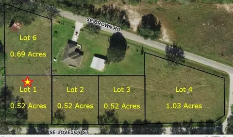 3198 SE Lovejoy St, Arcadia, FL 34266
