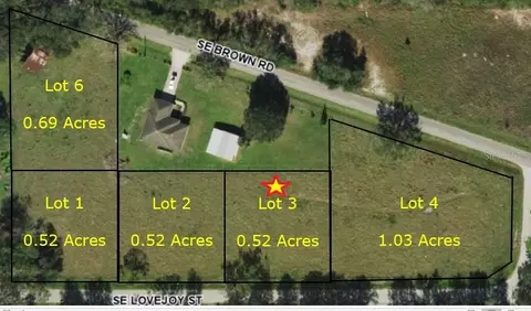 3236 SE Lovejoy St, Arcadia, FL 34266