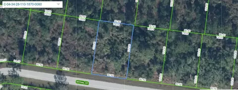 8036 Bernal Dr, Sebring, FL 33872 photo 1