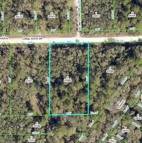 Coral Rock Drive, Webster, FL 33597