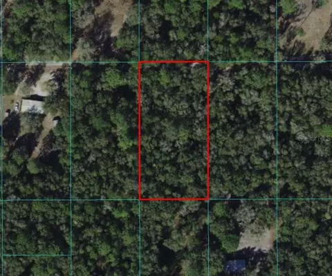 Tract 69 Sw 151st Place, Dunnellon, FL 34432