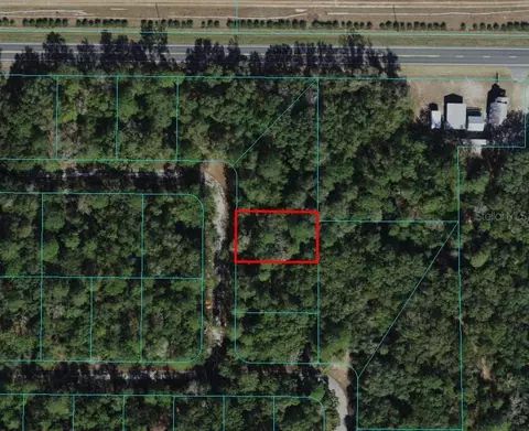 Lot 23 Ne 118th Avenue, Fort Mc Coy, FL 32134