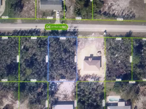 439 Detroit Rd, Lake Placid, FL 33852