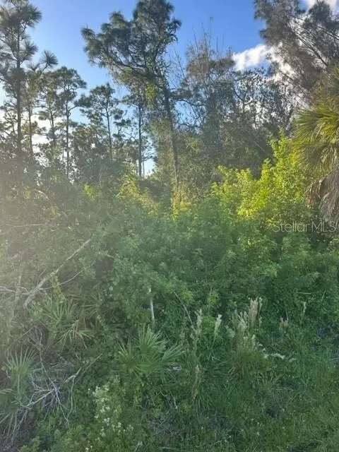 1480 Blaisdell St, Port Charlotte, FL 33980