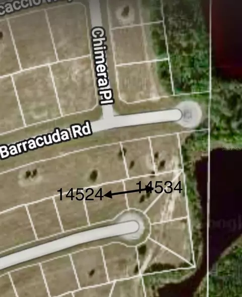 14534 Marlin Ct, Placida, FL 33946 photo 3