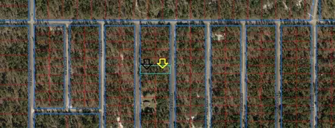 000 SE 131 Ter, Dunnellon, FL 34431