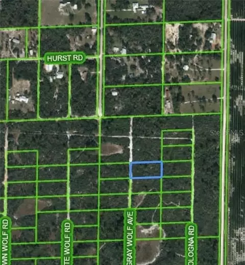 33140 Grey Wolf Ave, Sebring, FL 33870