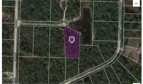 34196 Carpenter Cir, Webster, FL 33597