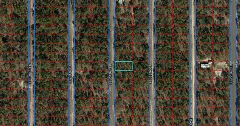 Se 134th Ter, Dunnellon, FL 34431