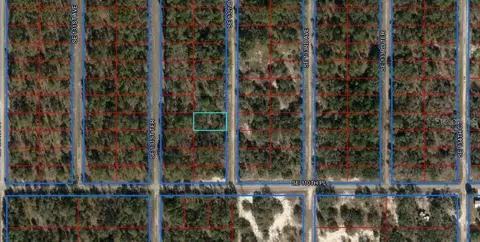 Se 132nd Ct, Dunnellon, FL 34431