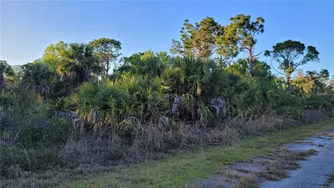 1125231221 Chinabox St, North Port, FL 34288