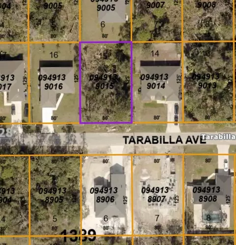 Tarabilla Avenue, North Port, FL 34291