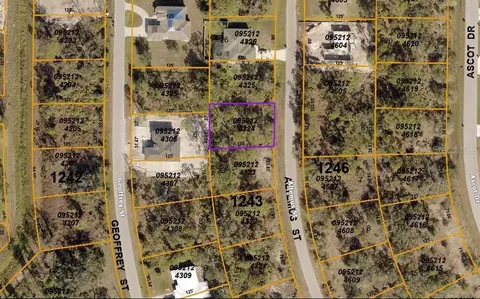 Lot 24 Altemus Street, North Port, FL 34291