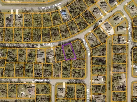 Lot 10 Petal Road, North Port, FL 34291