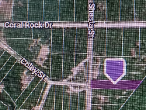 8240 Shasta St, Webster, FL 33597