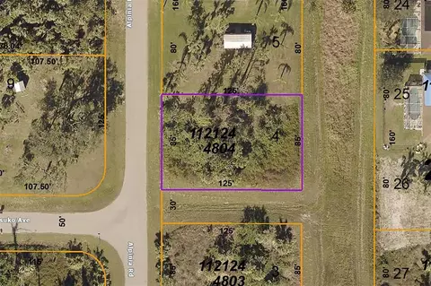 Alpinia Road, North Port, FL 34288