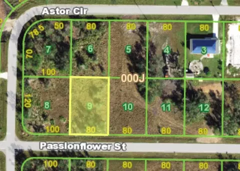 29440 Passion Flower St, Punta Gorda, FL 33982