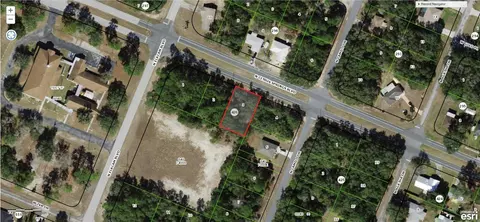 9271 N Citrus Springs Blvd, Citrus Springs, FL 34434