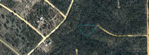 000 Hiawatha Ct, Marianna, FL 32448
